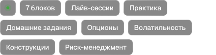 7 блоков, Лайв-сессии, Практика, Тесты, Опционы, Волатильность, Конструкции, Риск-менеджмент